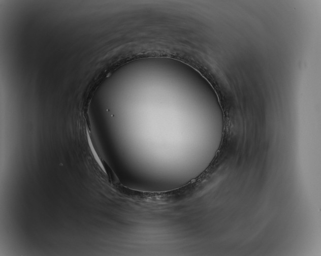 X0000093251490200710101431