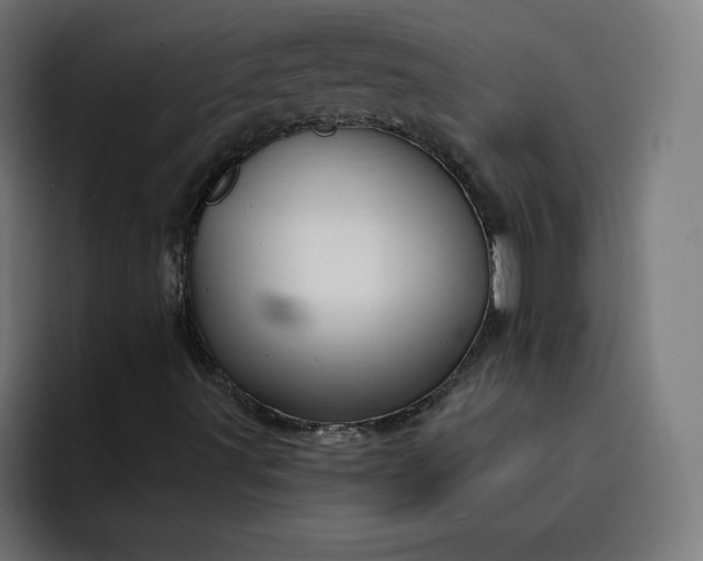 X0000093251491200710101431