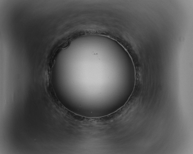 X0000093251493200710101431