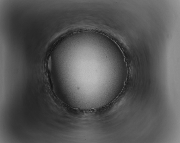 X0000093251494200710101431