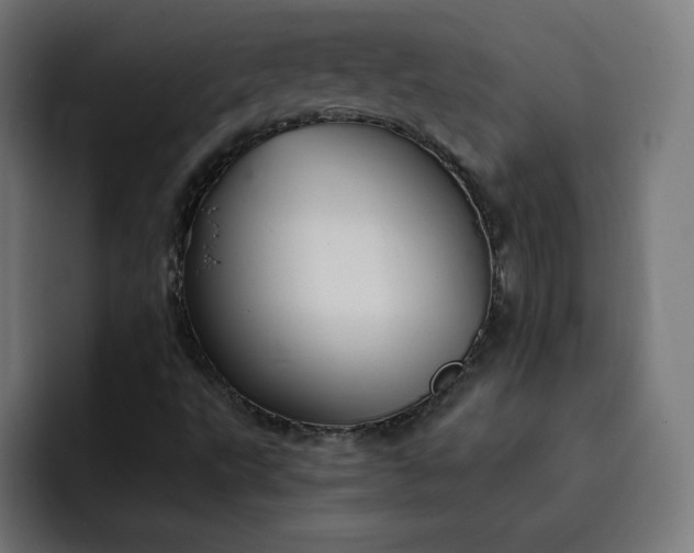 X0000093251495200710101431