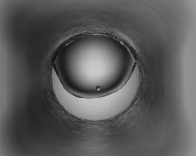 X0000093251496200710101431