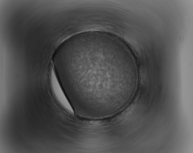 X0000093251497200710101431