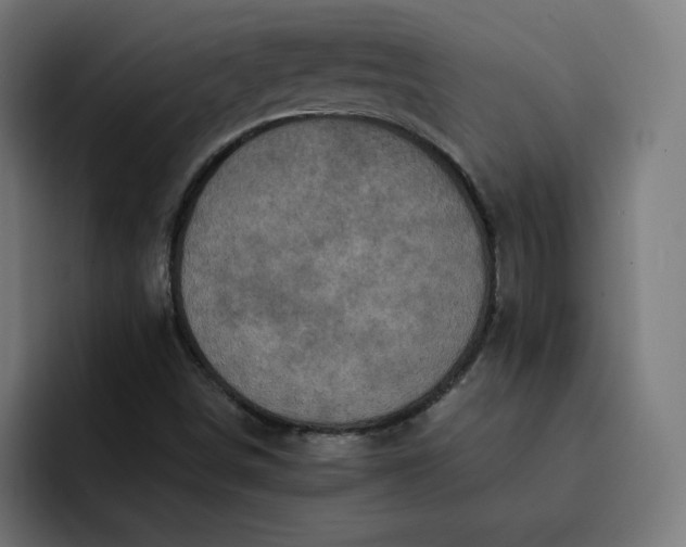 X0000093251498200710101431