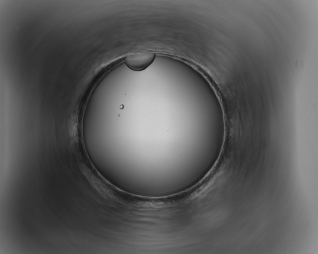 X0000093251499200710101431