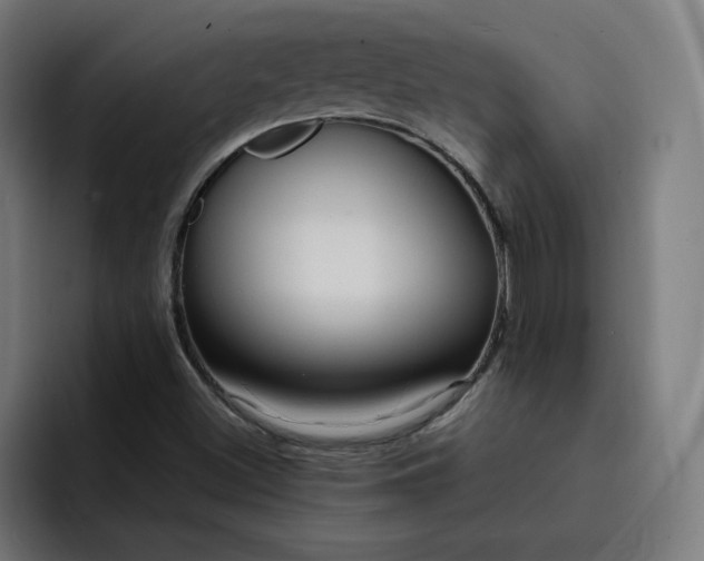 X0000093251500200710101431