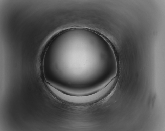 X0000093251502200710101431