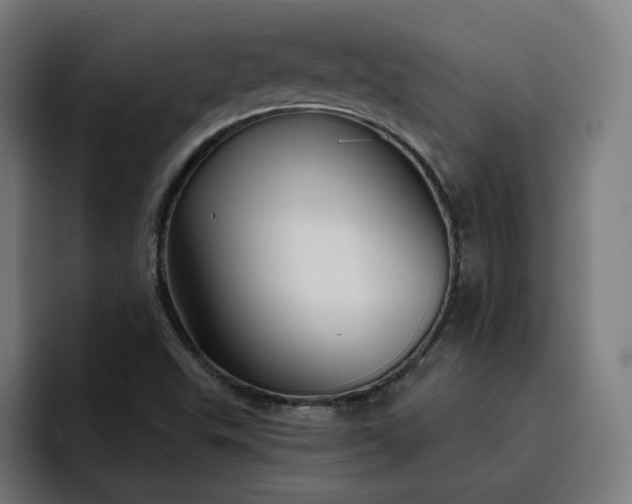 X0000093251503200710101431