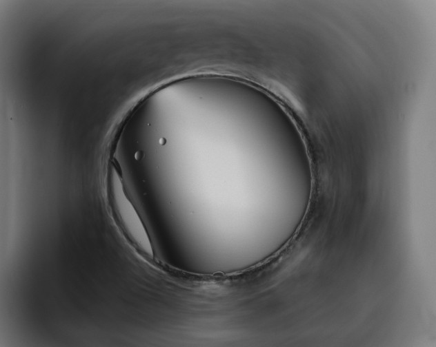 X0000093251504200710101431