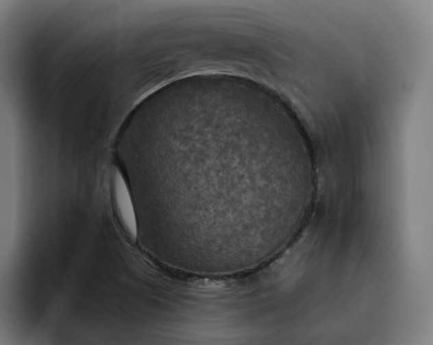 X0000093251505200710101431