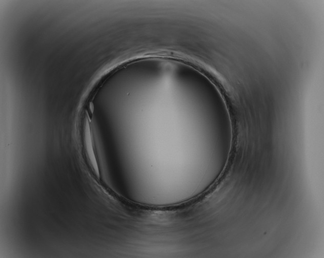 X0000093251506200710101431