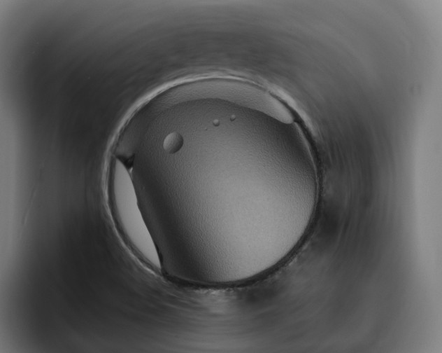 X0000093251508200710101431