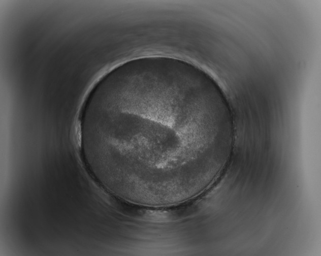 X0000093251509200710101431