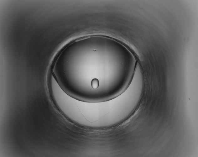 X0000093251510200710101431