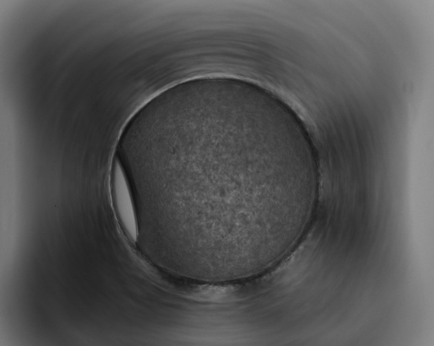 X0000093251513200710101431