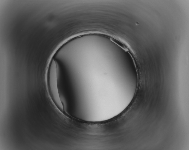 X0000093251516200710101431