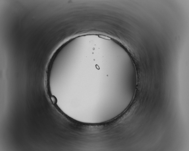 X0000093251518200710101431