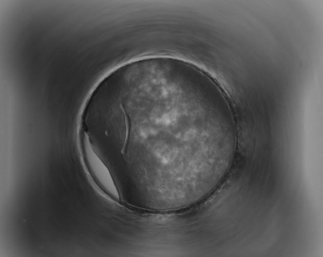 X0000093251519200710101431