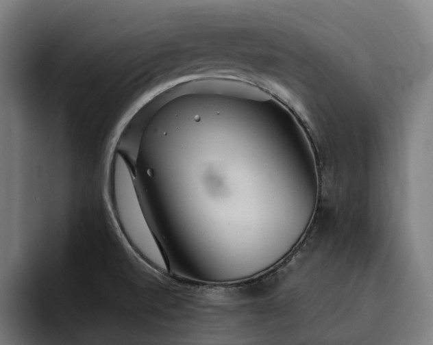 X0000093251520200710101431