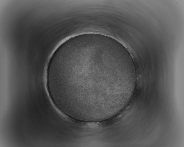 X0000093251523200710101431