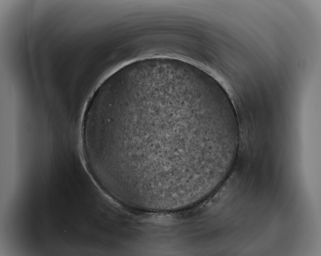 X0000093251525200710101431