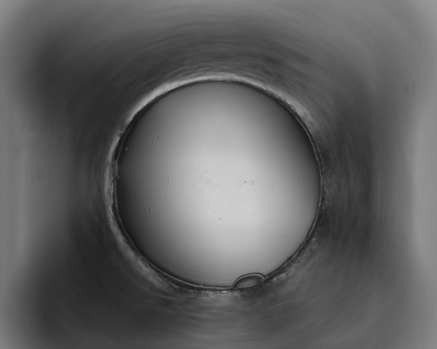 X0000093251526200710101431