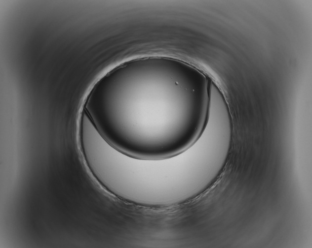 X0000093251528200710101431