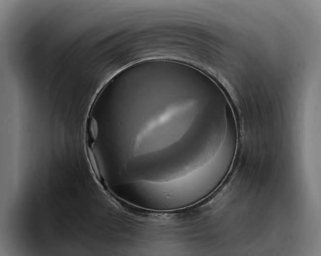 X0000093251529200710101431