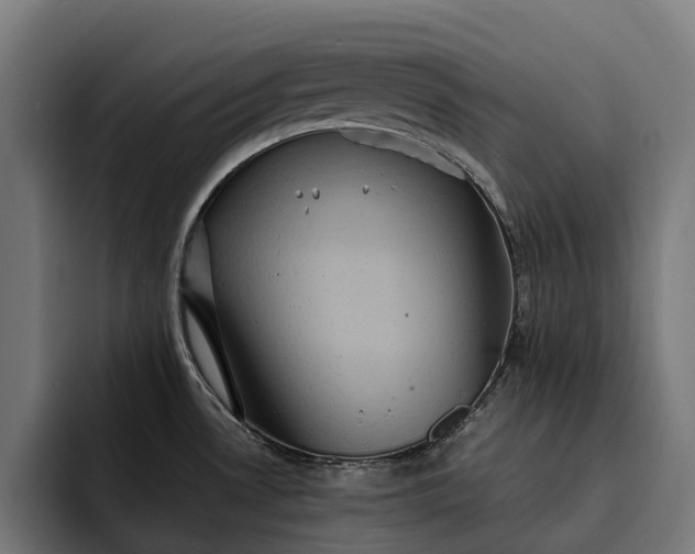 X0000093251530200710101431