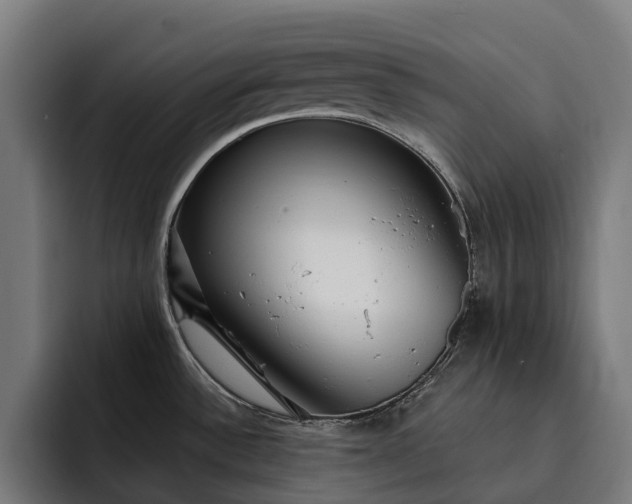 X0000093251532200710101431