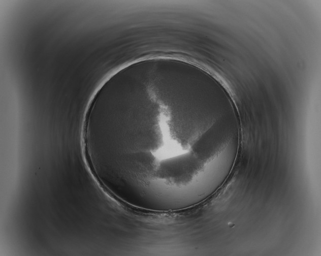 X0000093251533200710101431