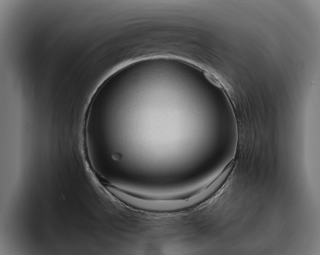 X0000093251534200710101431