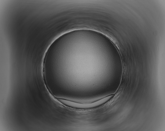 X0000093251535200710101431