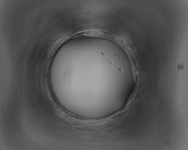 X0000093250001200710171436