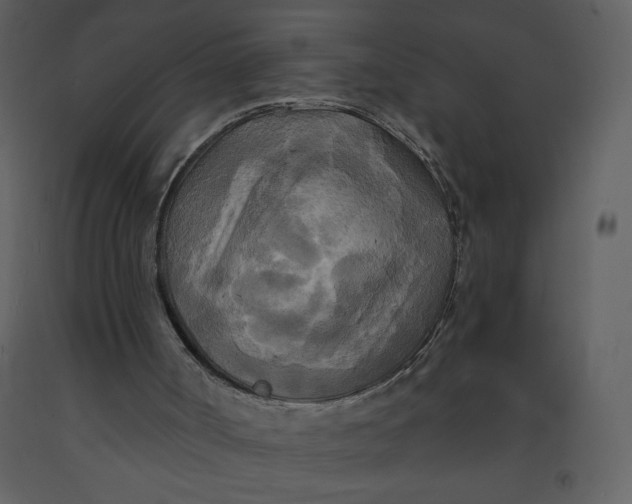 X0000093250002200710171436