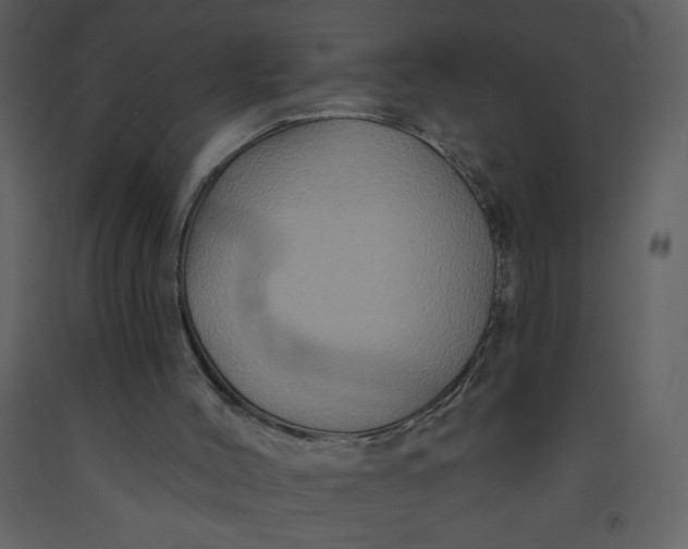 X0000093250004200710171436