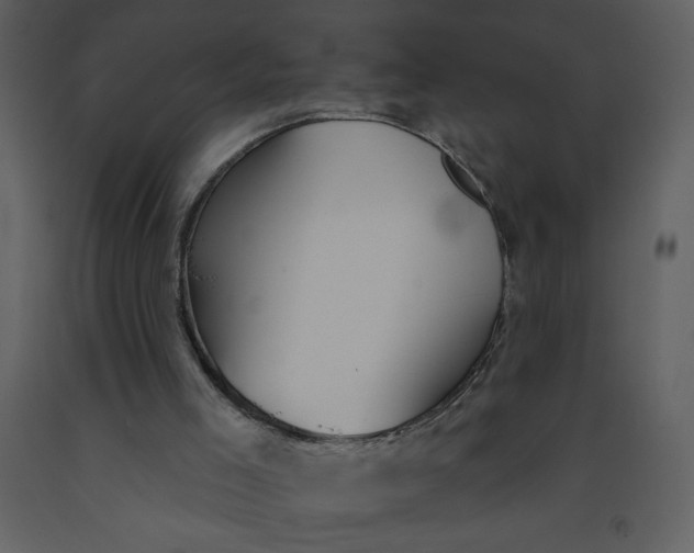 X0000093250005200710171436