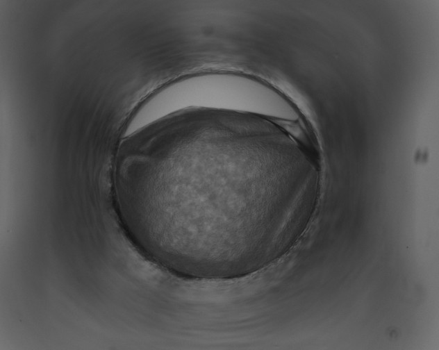 X0000093250009200710171436