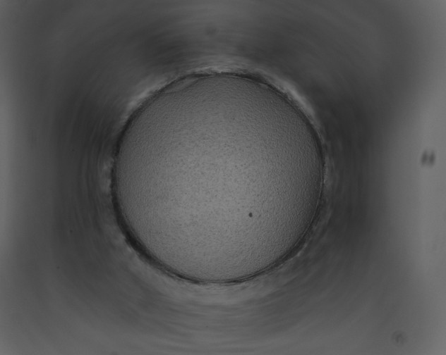 X0000093250010200710171436