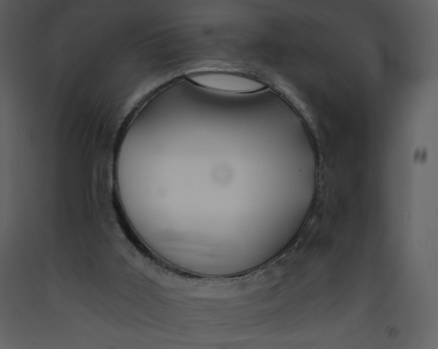 X0000093250011200710171436