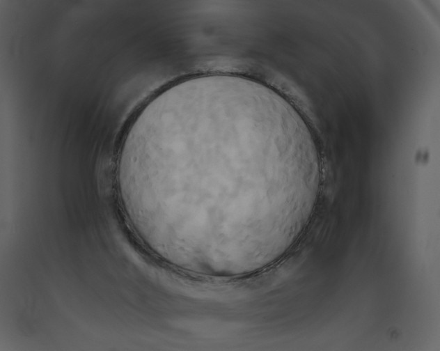 X0000093250012200710171436