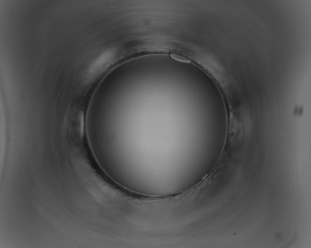 X0000093250013200710171436