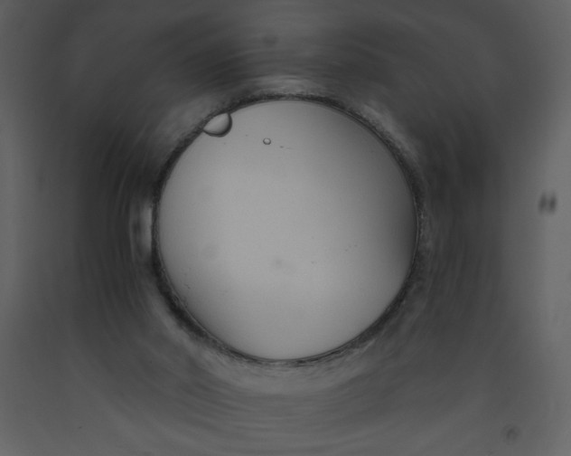 X0000093250014200710171436