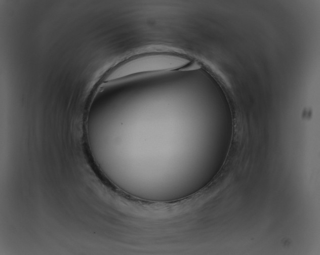 X0000093250015200710171436