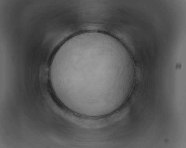 X0000093250016200710171436