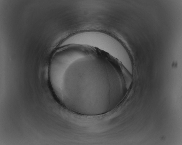 X0000093250019200710171436