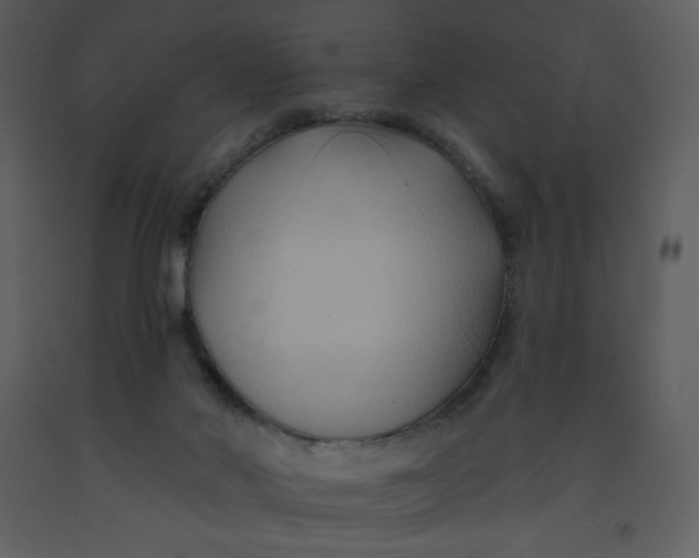 X0000093250022200710171436