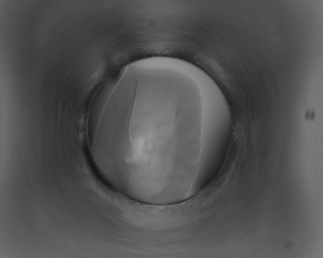 X0000093250023200710171436