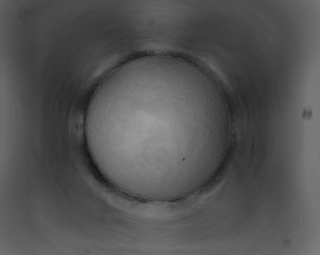 X0000093250024200710171436