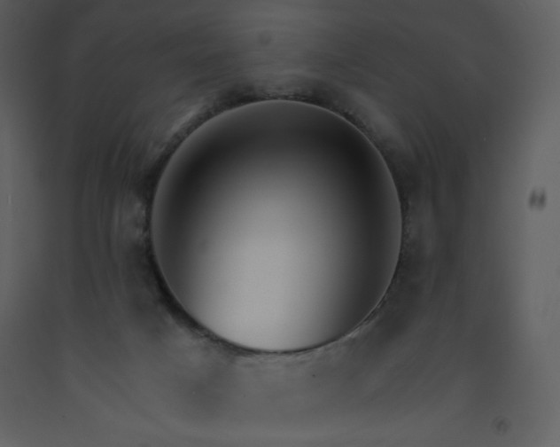 X0000093250025200710171436